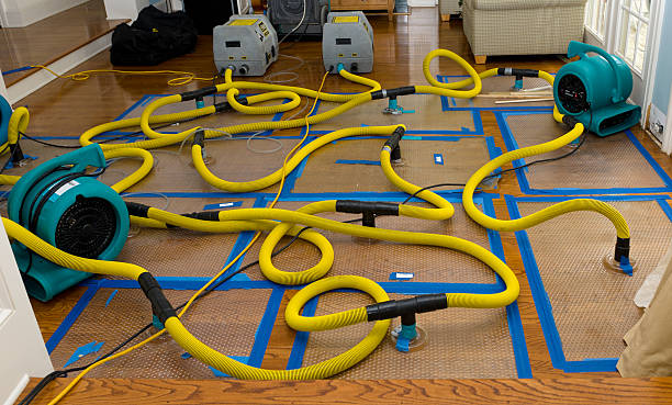 Professional Flood Damage Restoration technician working in Curtice, OH
